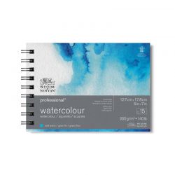 Taccuino Acquerello Winsor & Newton Professional c/spirale ULTIMO PEZZO!