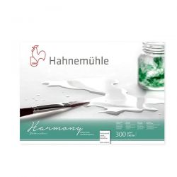 Fogli per Acquerello Hahnemuhle Harmony 50x65cm 300gr.