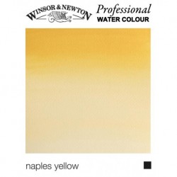W&N Professional, Acquerelli Extrafini, Tubo 5ml, Sfusi